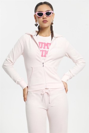 Juicy Couture Classic Puuvilla Velour Hoodie Vaaleanpinkki | JC-SN651527