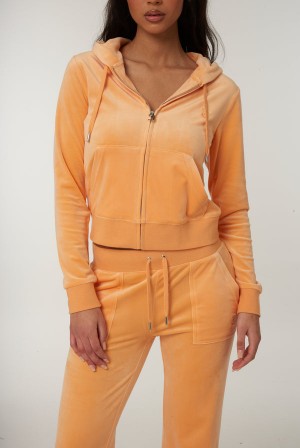 Juicy Couture Classic Velour Robertson Hoodie Oranssi | JC-SN651982