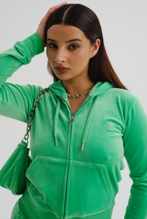 Juicy Couture Classic Velour Robertson Hoodie Vihreä | JC-SN652005