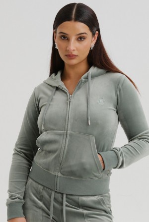 Juicy Couture Classic Velour Robertson Hoodie Vihreä | JC-SN652022