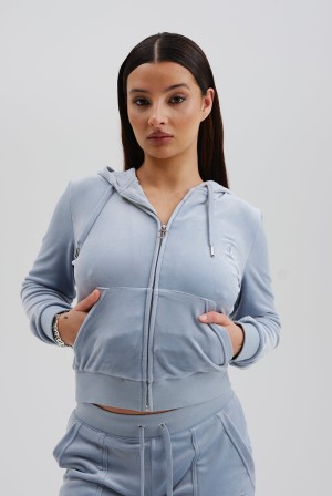 Juicy Couture Classic Velour Robertson Hoodie Sininen | JC-SN652069