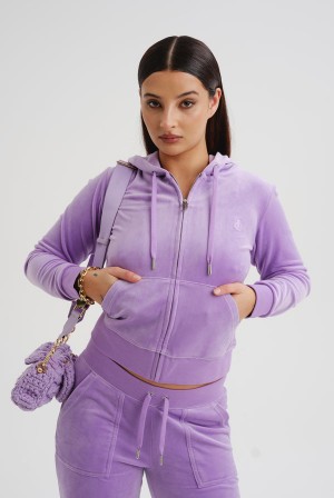 Juicy Couture Classic Velour Robertson Hoodie Violetit | JC-SN652072