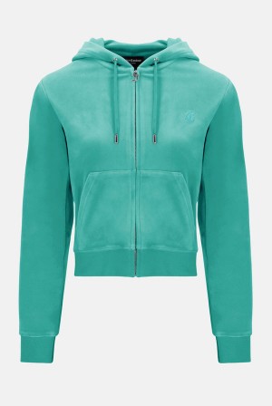 Juicy Couture Classic Velour Robertson Hoodie Sininen Vihreä | JC-SN652123