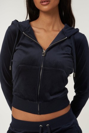 Juicy Couture Classic Velour Robertson Hoodie Sininen | JC-SN652135