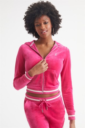 Juicy Couture Contrast Rib Velour Hoodie Pinkki | JC-SN651547