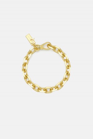 Juicy Couture Paksu JC Charm Bracelet Kultaiset | JC-SN652402