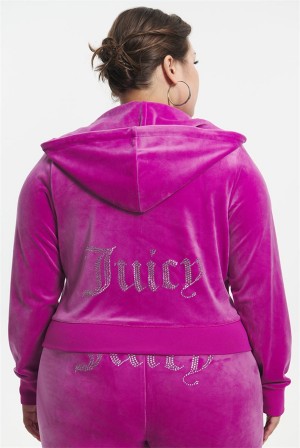 Juicy Couture Plus-size Og Big Bling Velour Hoodie Violetit | JC-SN651574