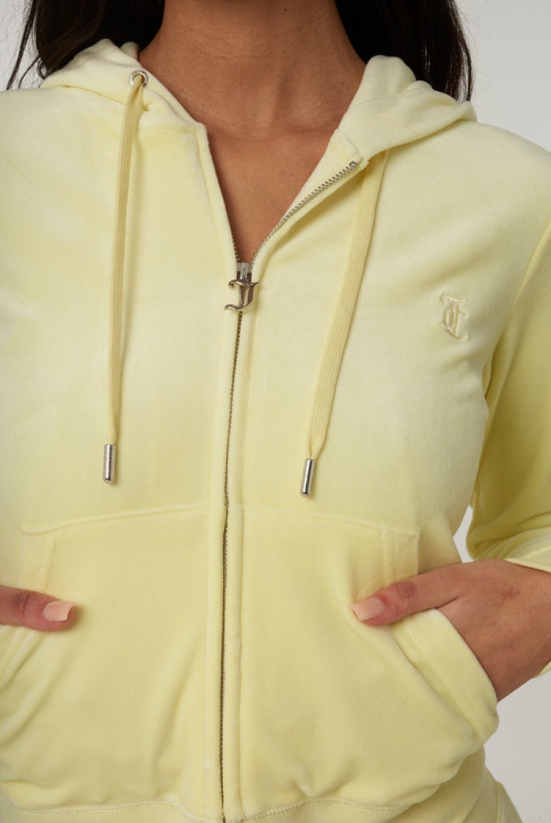 Juicy Couture Classic Velour Robertson Hoodie Keltainen | JC-SN651971