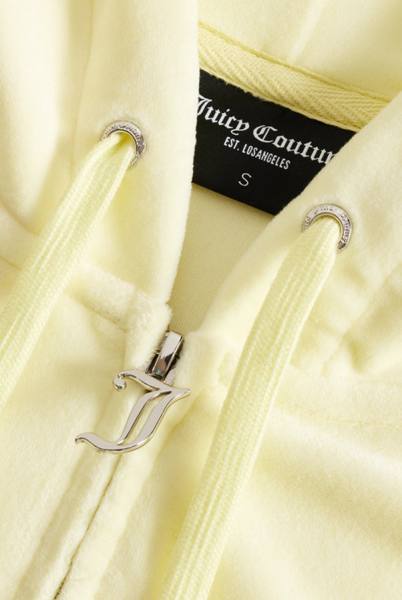 Juicy Couture Classic Velour Robertson Hoodie Keltainen | JC-SN651971