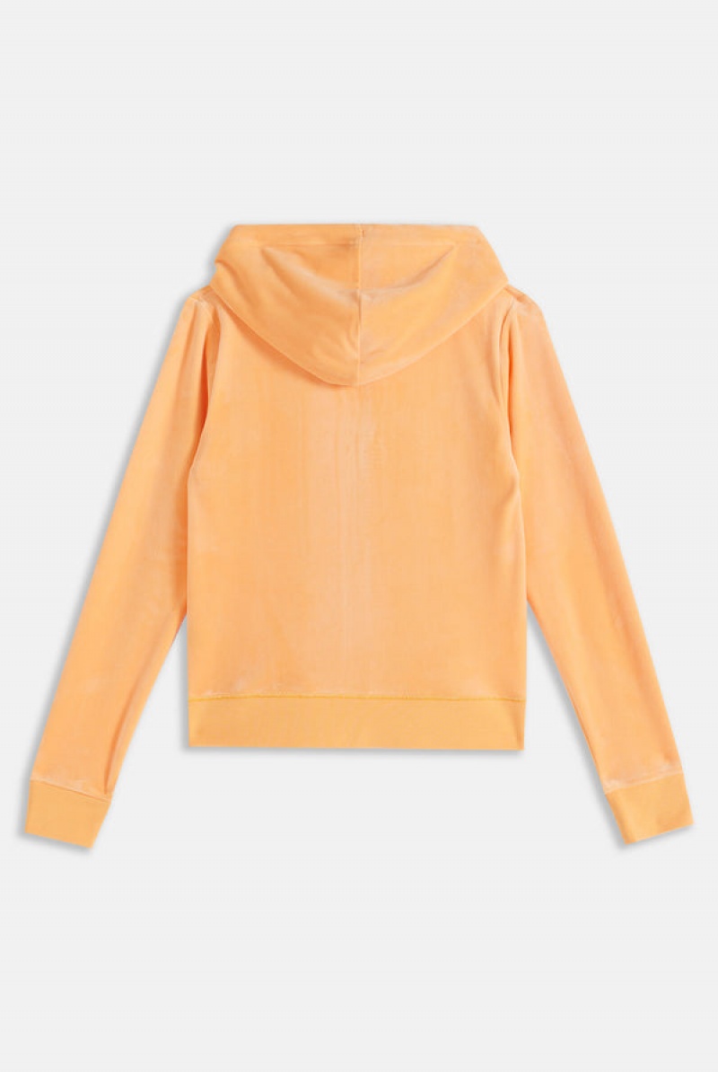 Juicy Couture Classic Velour Robertson Hoodie Oranssi | JC-SN651982