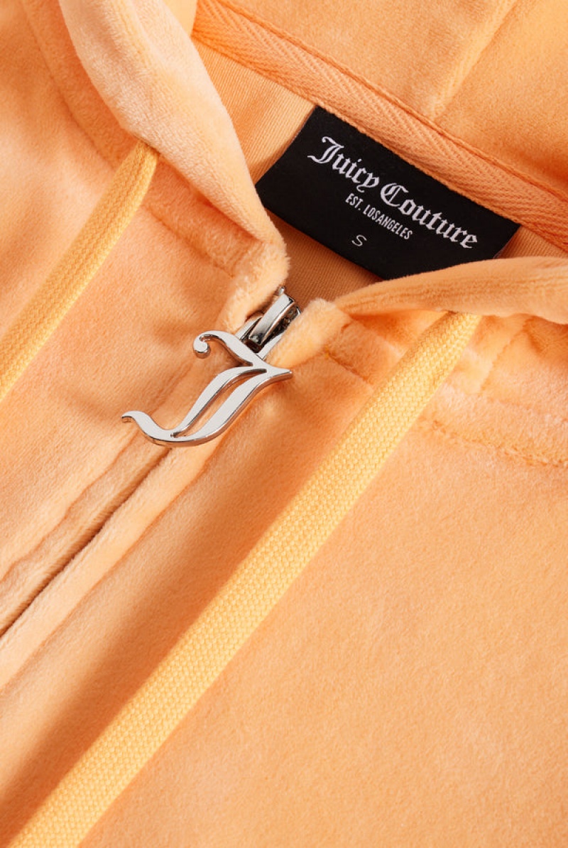 Juicy Couture Classic Velour Robertson Hoodie Oranssi | JC-SN651982