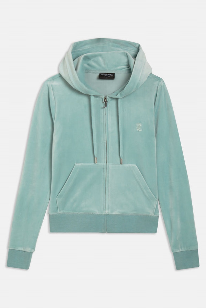 Juicy Couture Classic Velour Robertson Hoodie Sininen | JC-SN651998