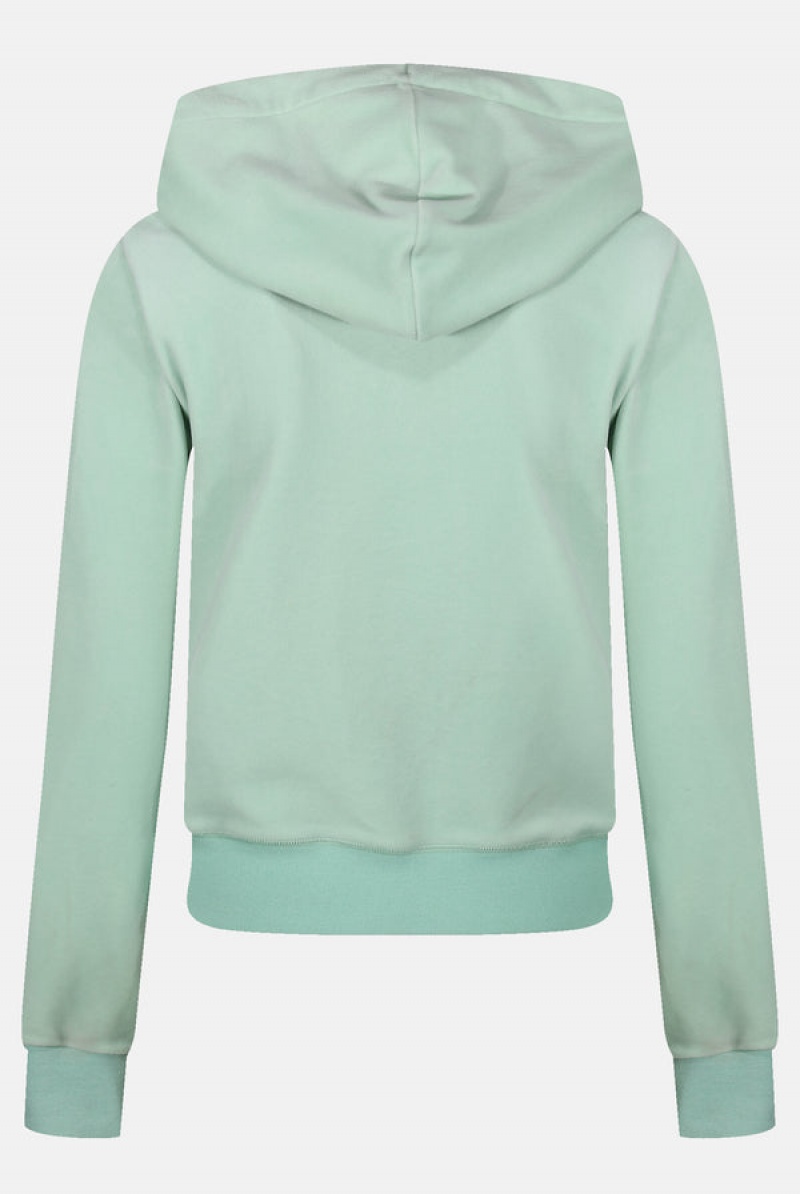 Juicy Couture Classic Velour Robertson Hoodie Vihreä | JC-SN652008