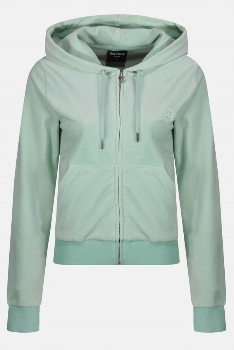 Juicy Couture Classic Velour Robertson Hoodie Vihreä | JC-SN652008