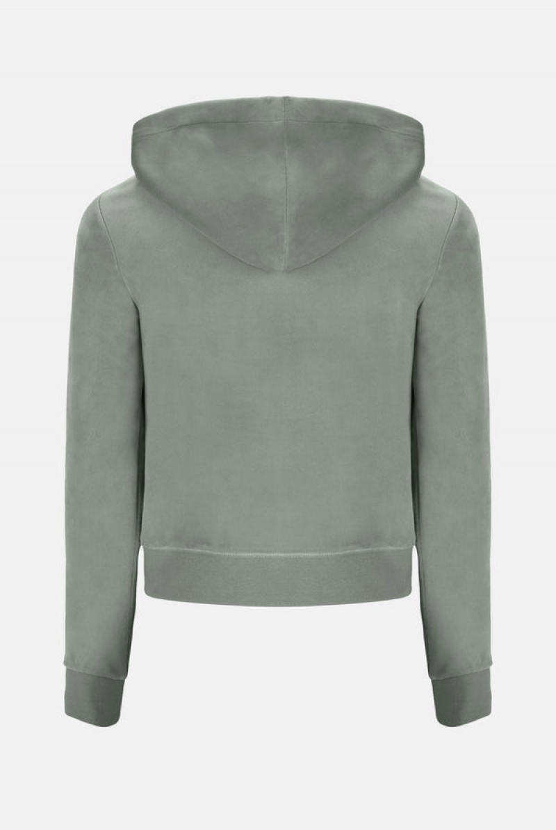 Juicy Couture Classic Velour Robertson Hoodie Vihreä | JC-SN652022