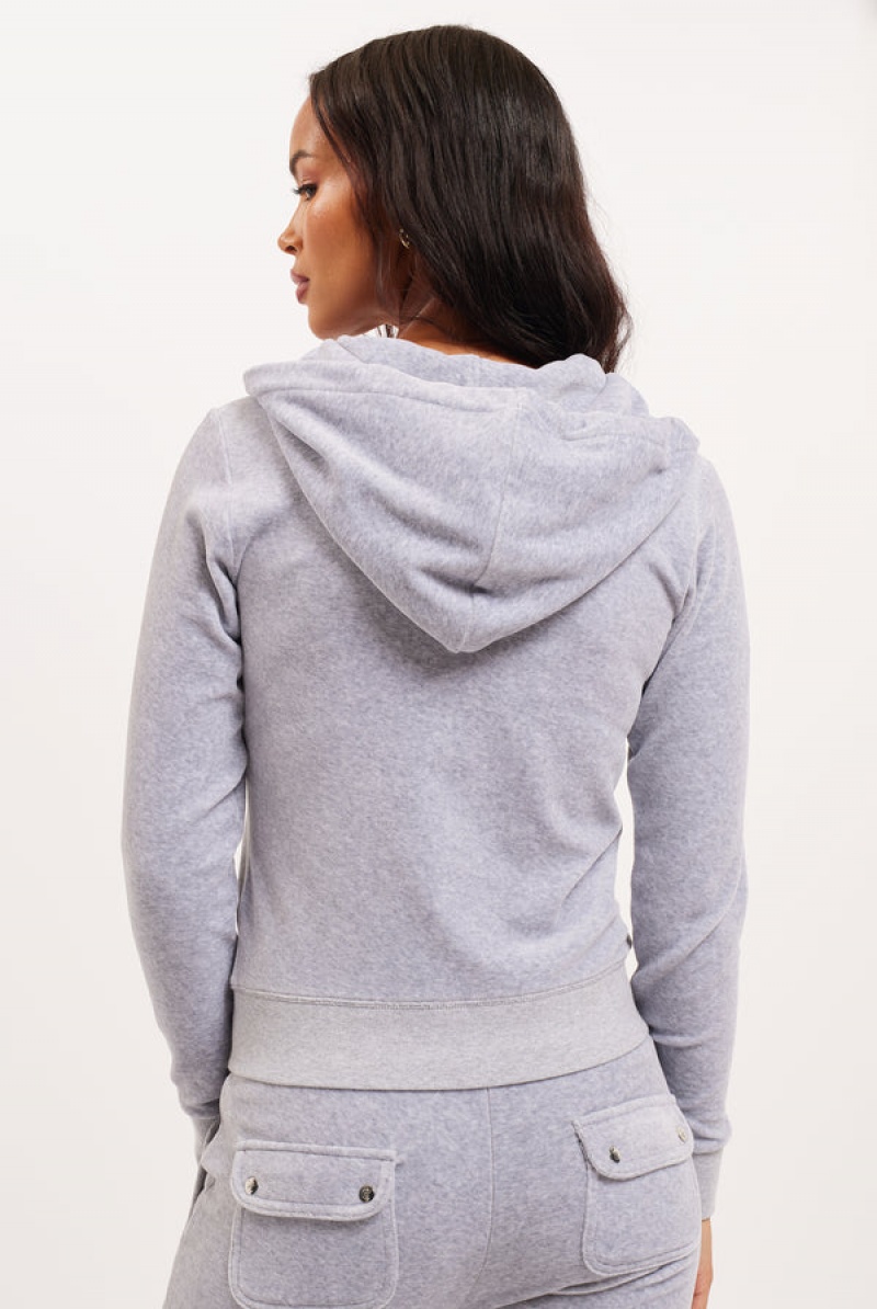 Juicy Couture Classic Velour Robertson Hoodie Hopea | JC-SN652029