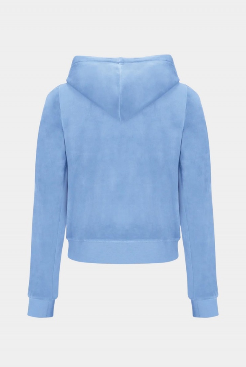 Juicy Couture Classic Velour Robertson Hoodie Sininen | JC-SN652046