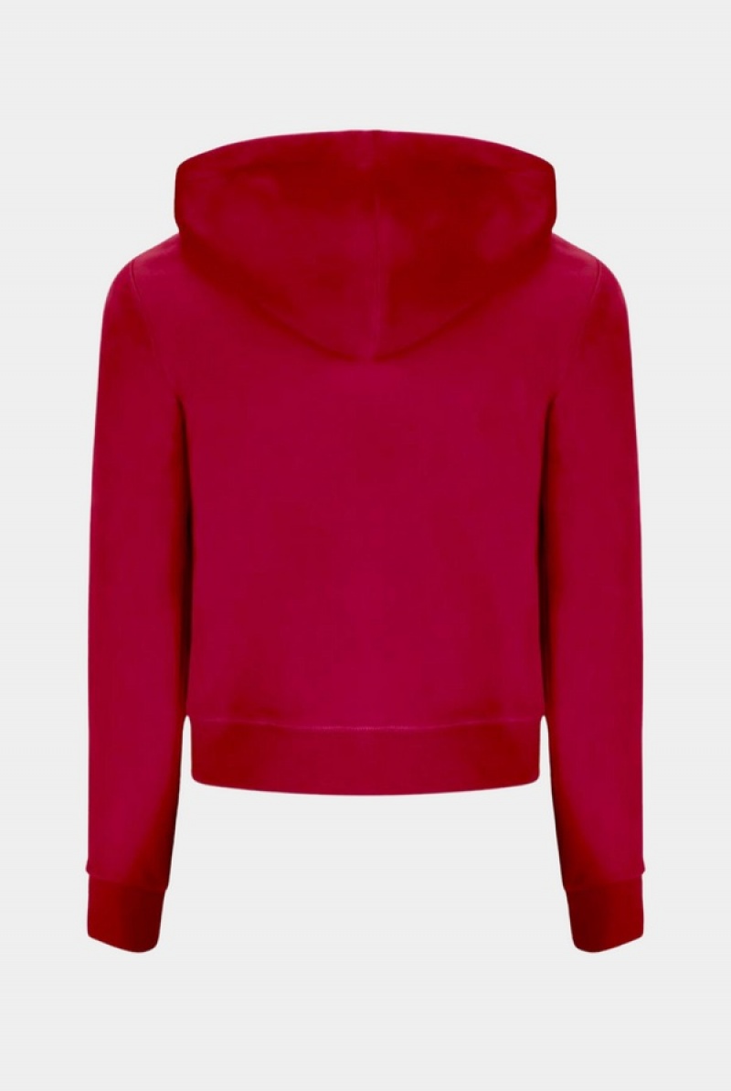 Juicy Couture Classic Velour Robertson Hoodie Pinkki | JC-SN652050