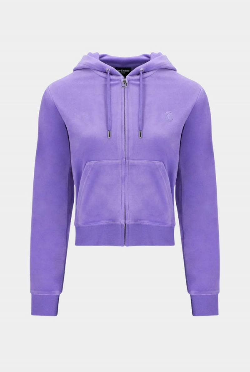 Juicy Couture Classic Velour Robertson Hoodie Violetit | JC-SN652055