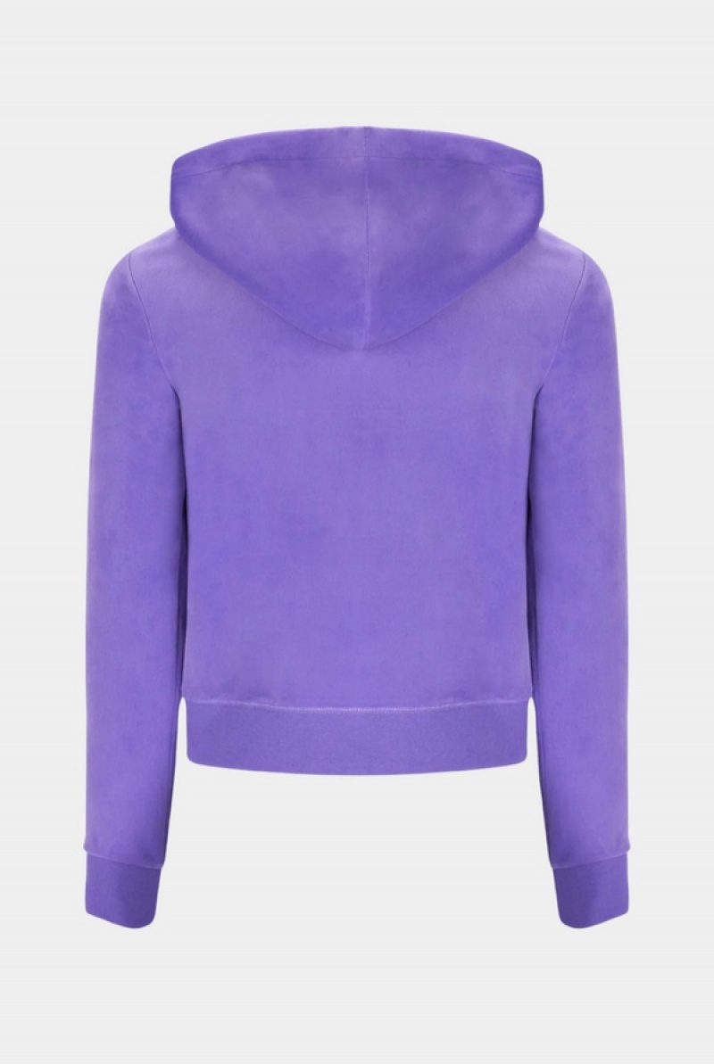 Juicy Couture Classic Velour Robertson Hoodie Violetit | JC-SN652055