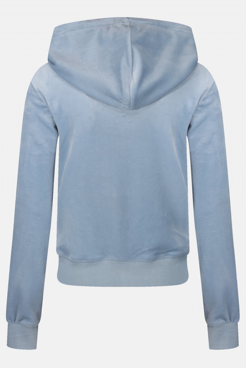 Juicy Couture Classic Velour Robertson Hoodie Sininen | JC-SN652069