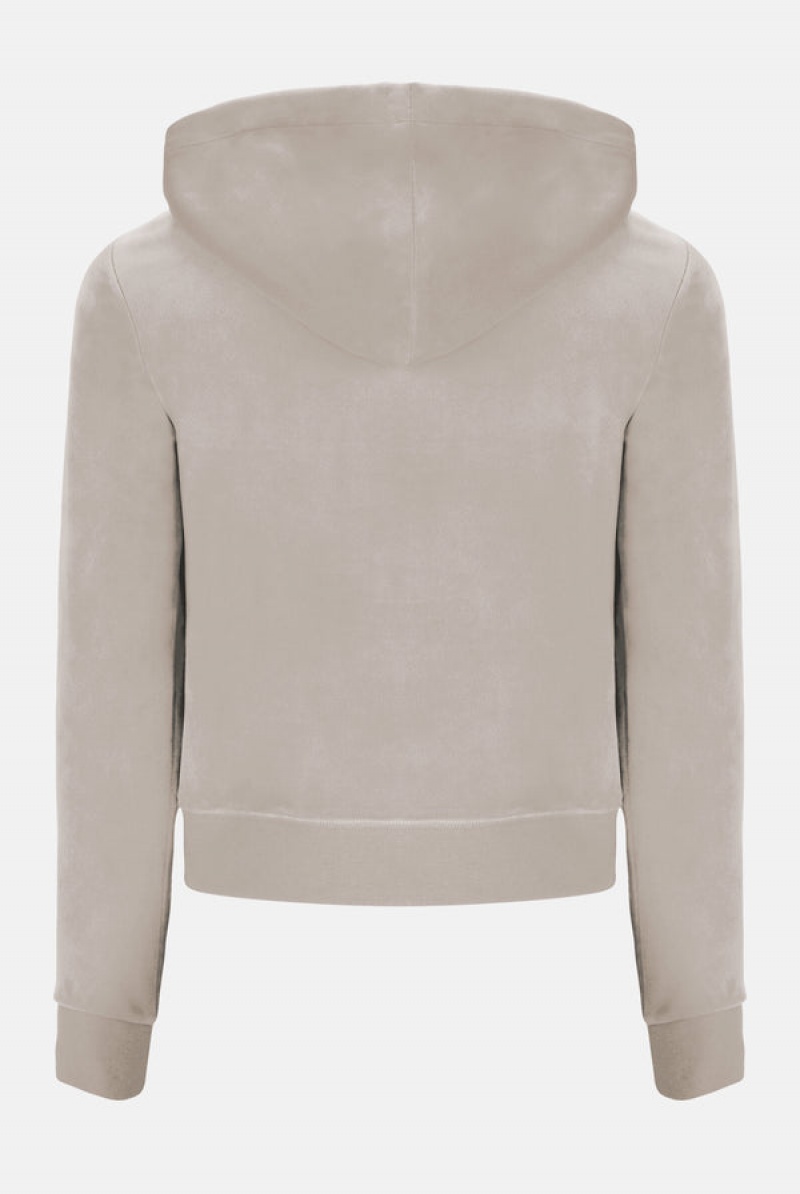 Juicy Couture Classic Velour Robertson Hoodie Vaaleanruskea | JC-SN652088