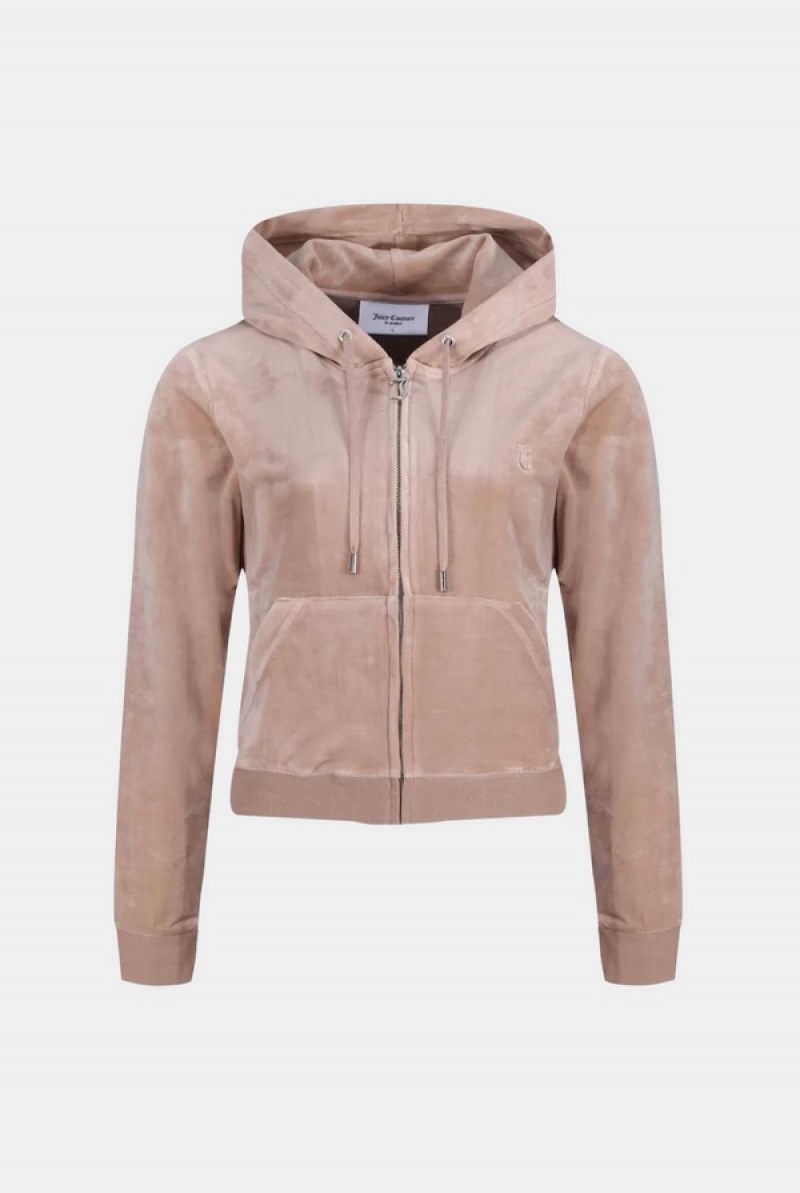 Juicy Couture Classic Velour Robertson Hoodie Harmaat Ruskea | JC-SN652114