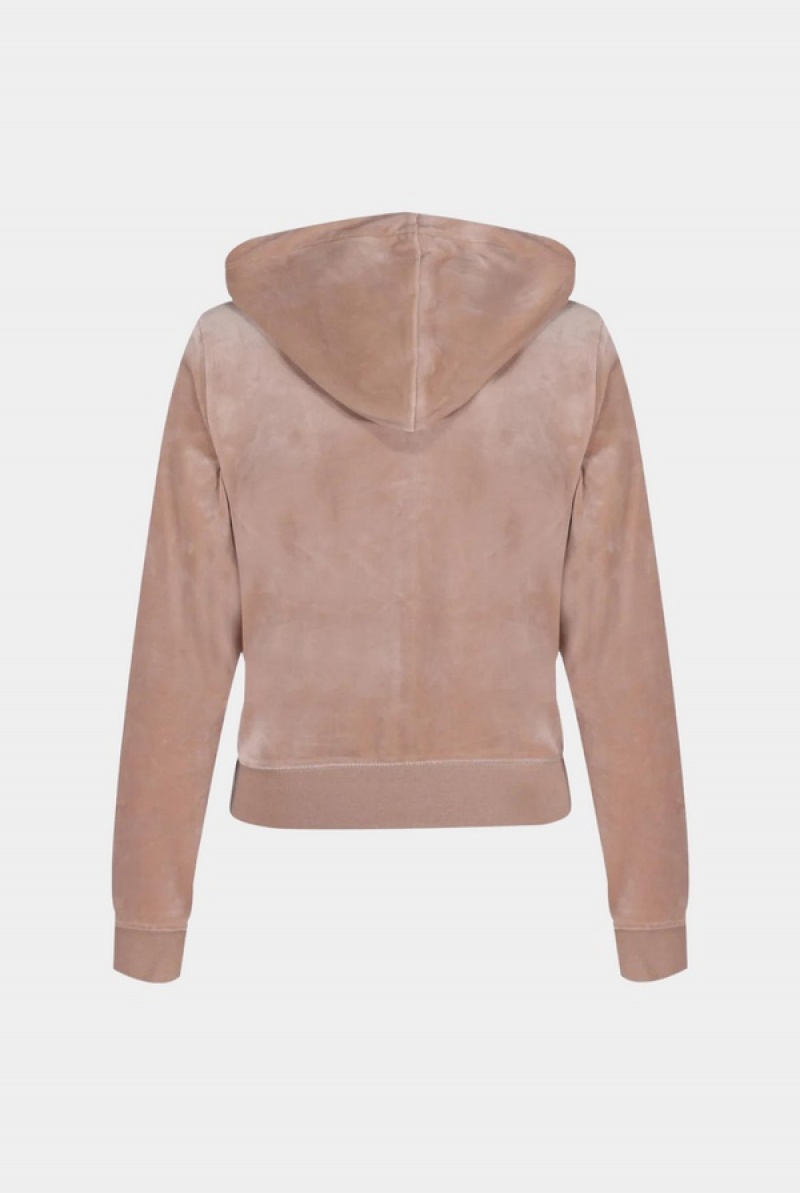 Juicy Couture Classic Velour Robertson Hoodie Harmaat Ruskea | JC-SN652114