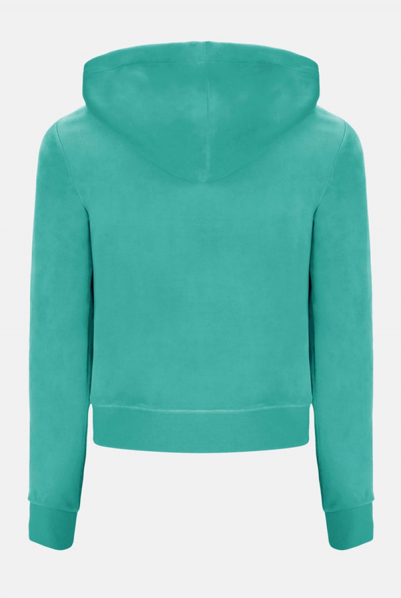 Juicy Couture Classic Velour Robertson Hoodie Sininen Vihreä | JC-SN652123