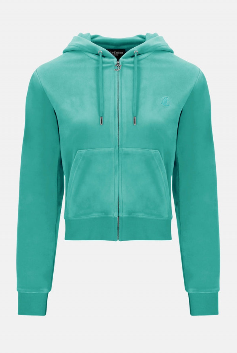 Juicy Couture Classic Velour Robertson Hoodie Sininen Vihreä | JC-SN652123