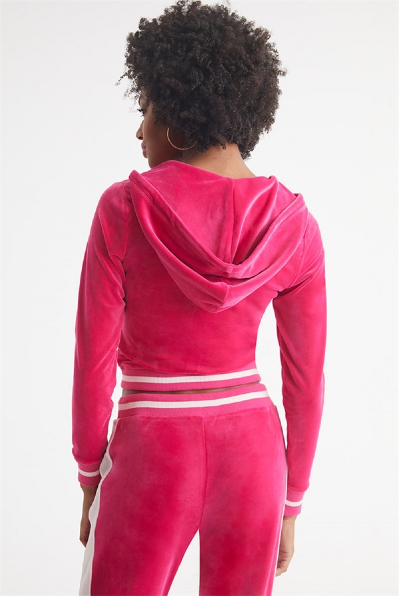 Juicy Couture Contrast Rib Velour Hoodie Pinkki | JC-SN651547