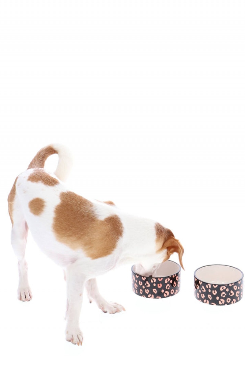 Juicy Couture Pet Set Of 2 Pet Keraaminen Bowls Mustat | JC-SN652305