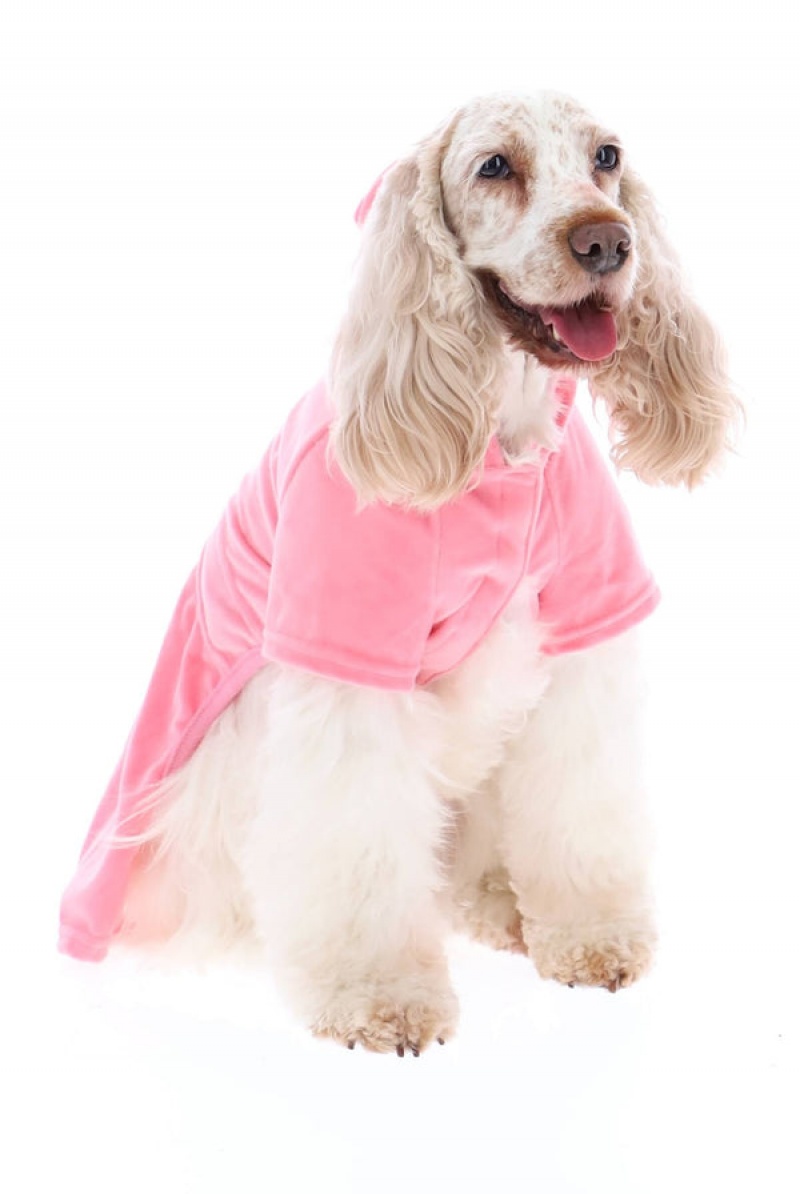 Juicy Couture Pet Velour Tracksuit M/L Pinkki | JC-SN652310