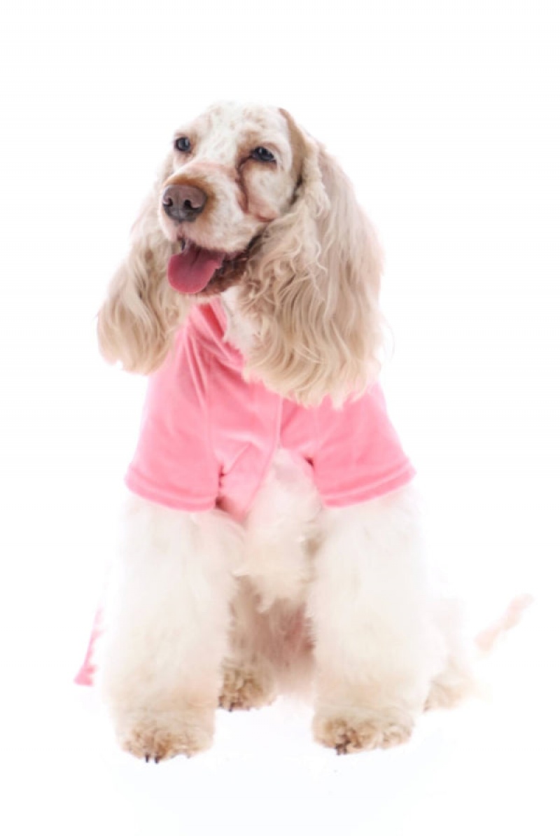 Juicy Couture Pet Velour Tracksuit Xs/S Pinkki | JC-SN652309