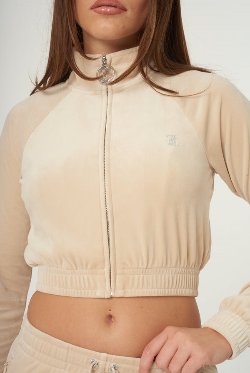 Juicy Couture Velour Diamante Cropped Tracktop Ruskea | JC-SN651995